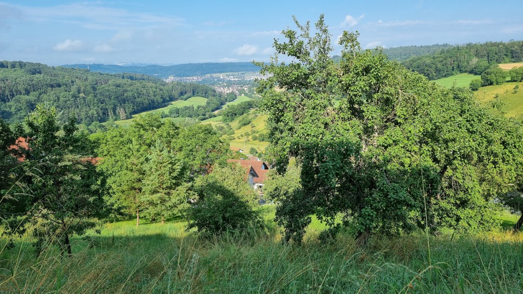 Grundstück