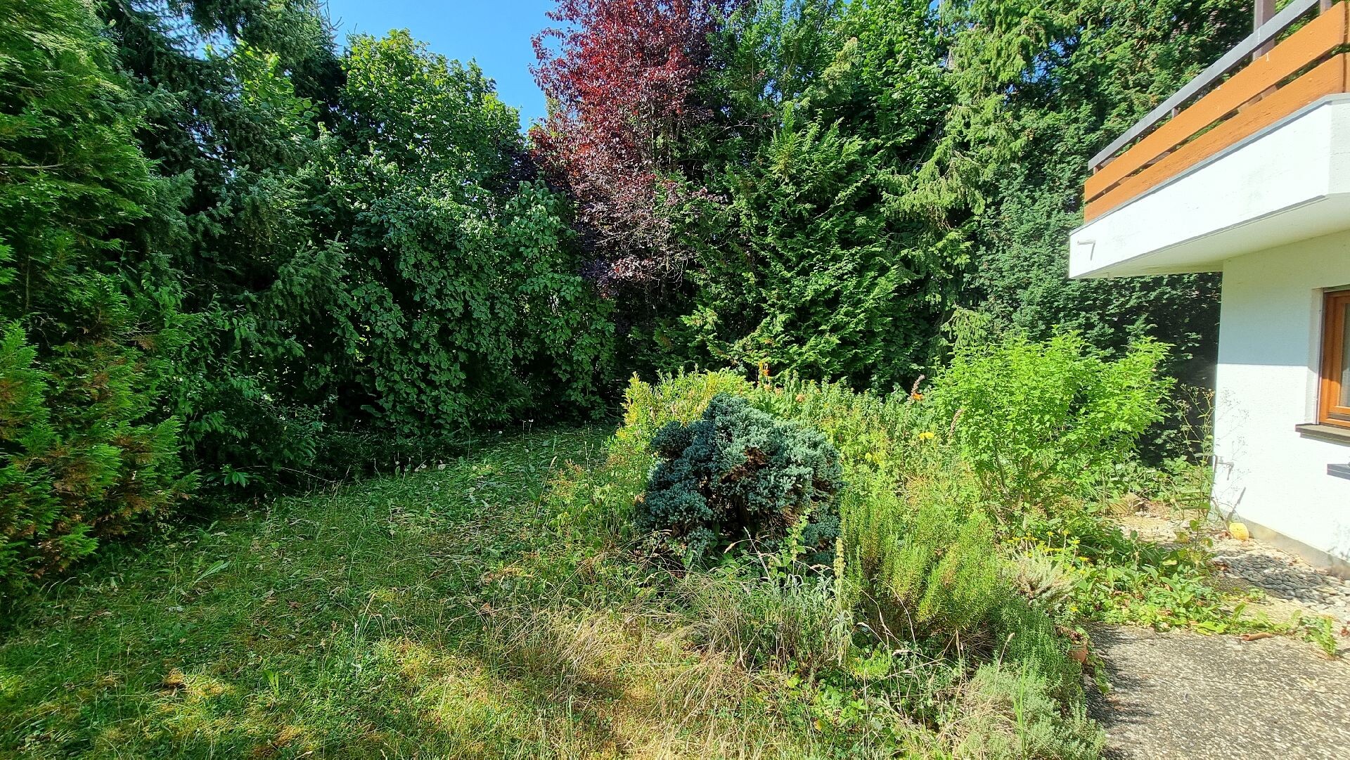 Garten
